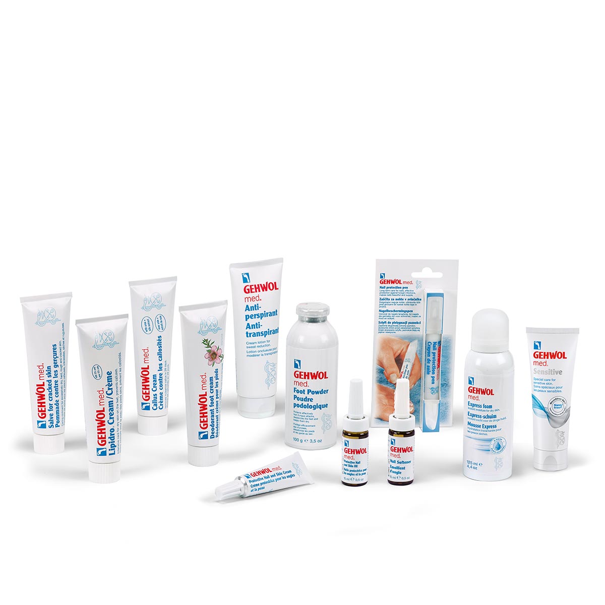 466796360_1099870042148783_9167561943320430667_n